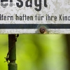 PC1_Bild140.jpg